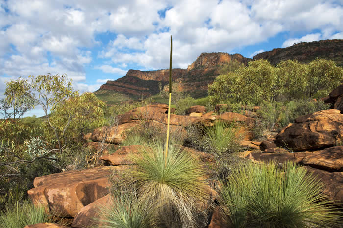 Arkaroo Rock credit SATC