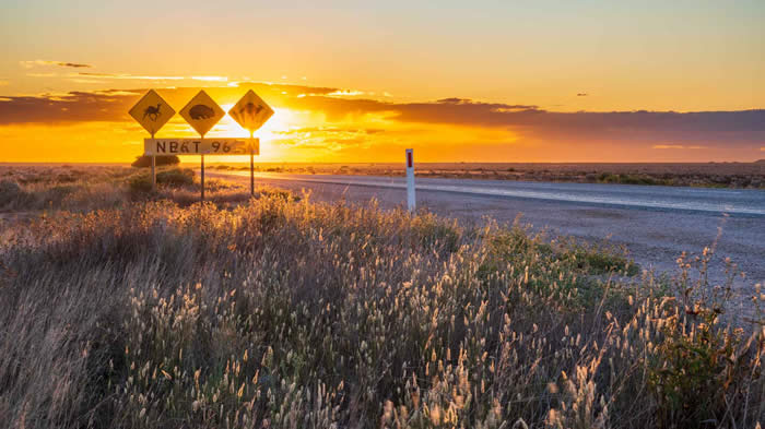 Nullarbor road sign by Corinne Bramwell